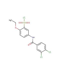 Astatech 5-(3,4-DICHLOROBENZAMIDO)-2-ETHOXYBENZENE-1-SULFONYL CHLORIDE; 1G; Purity 95%; MDL-MFCD03424956